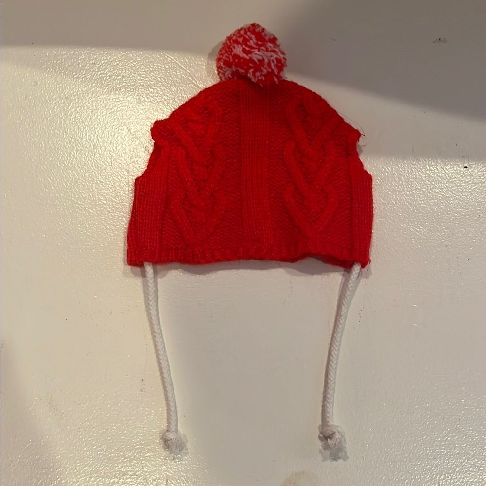 Red Knit Pom-Pom Cat/Small Dog Hat